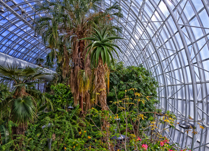 8. Take an afternoon and visit the tropical side of Oklahoma at the Myriad Botanical Gardens, located in Oklahoma City.  Enjoy the urban park or the foliage inside the conservatory.