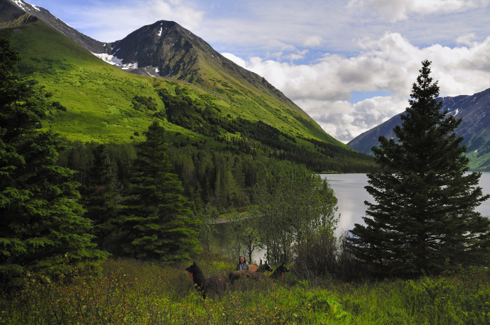 14. Carter Lake & Crescent Lake Trail - Kenai Mountains