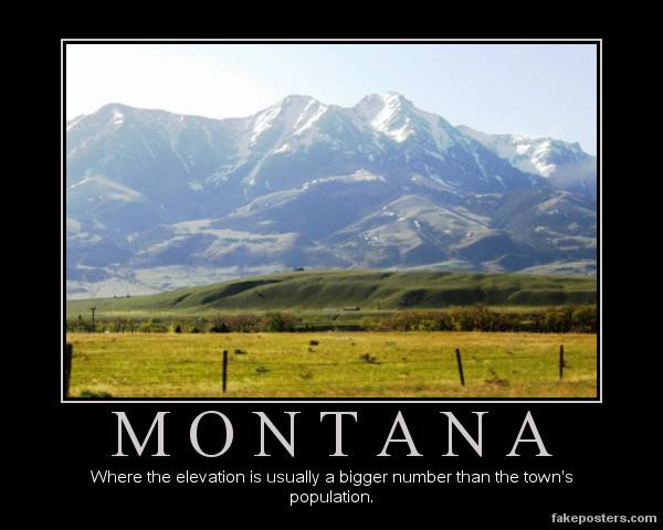 Image result for montana funny