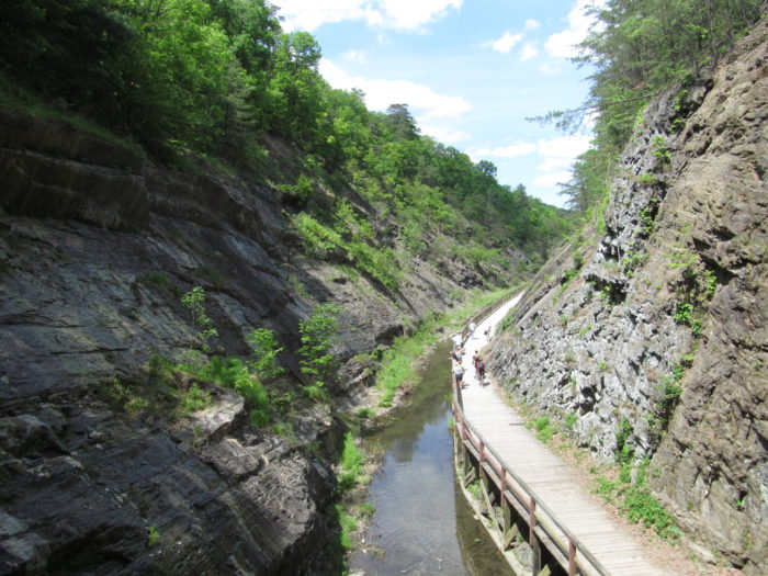 Along the C&O Canal path in Oldtown, you'll find the historic Paw Paw Tunnel.