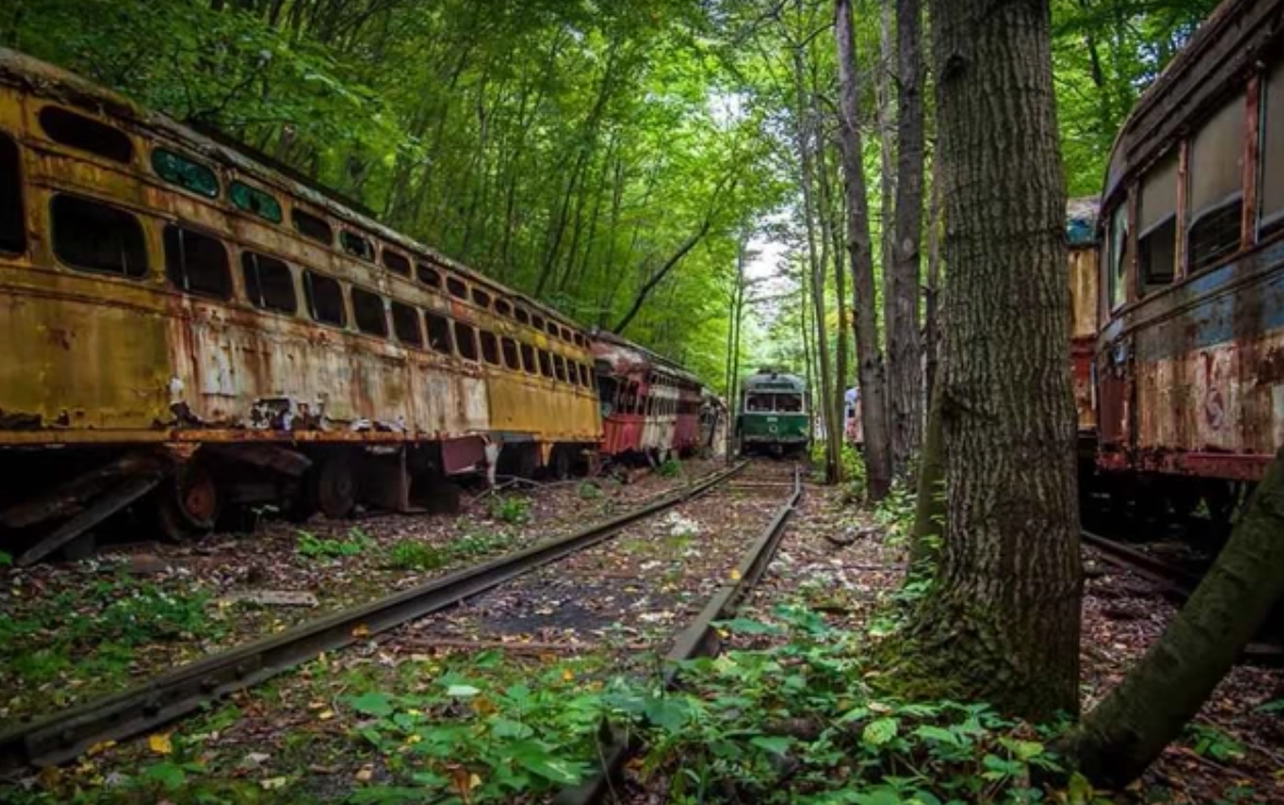 There's An Abandoned Train Graveyard In Saluda North Carolina