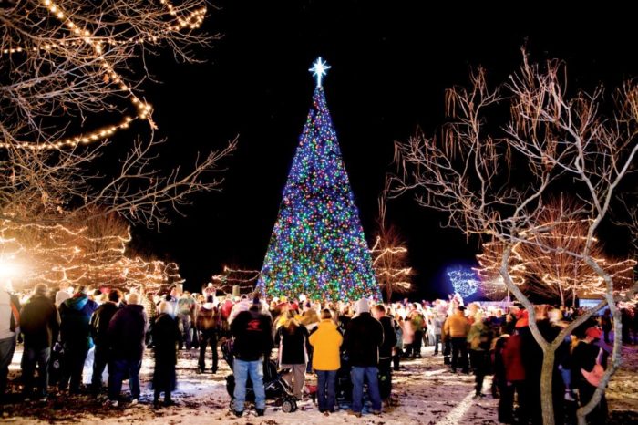12 Best Christmas Light Displays In Michigan 2016