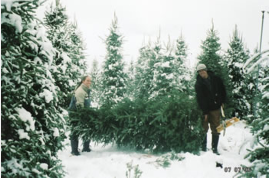 10 Things Everyone In Northern California Should Do Before Christmas