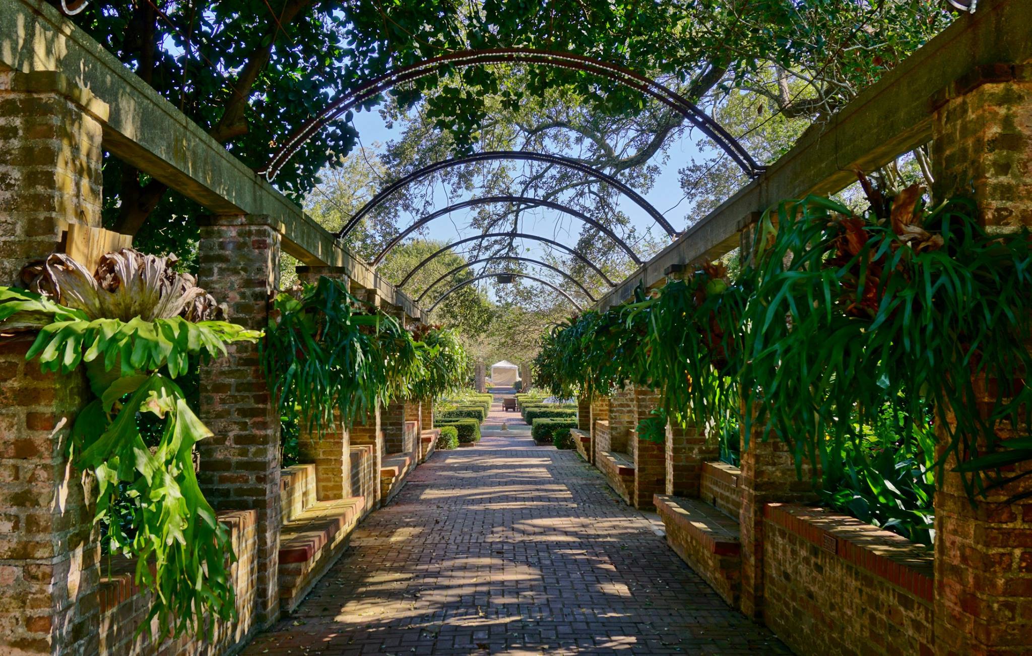 City Park Botanical Gardens In New Orleans Looks Like Narnia
