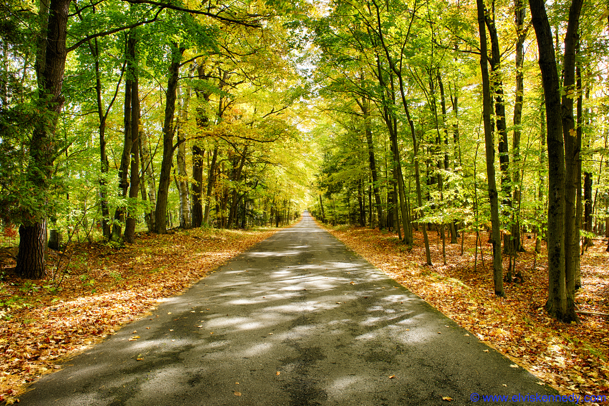 12 Best Scenic Backroad Drives in All of Wisconsin