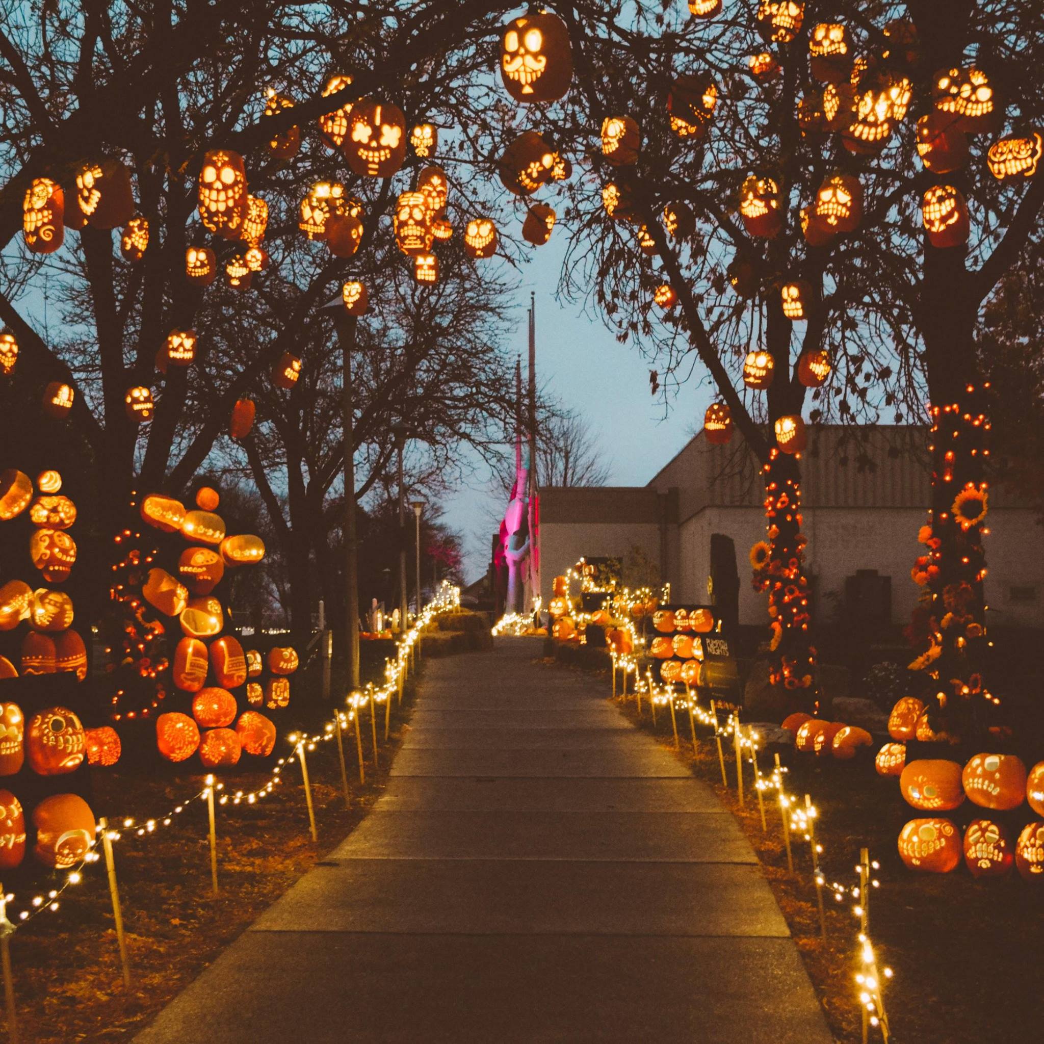 Pumpkin Nights Is The Most Magical Halloween Event In Northern California