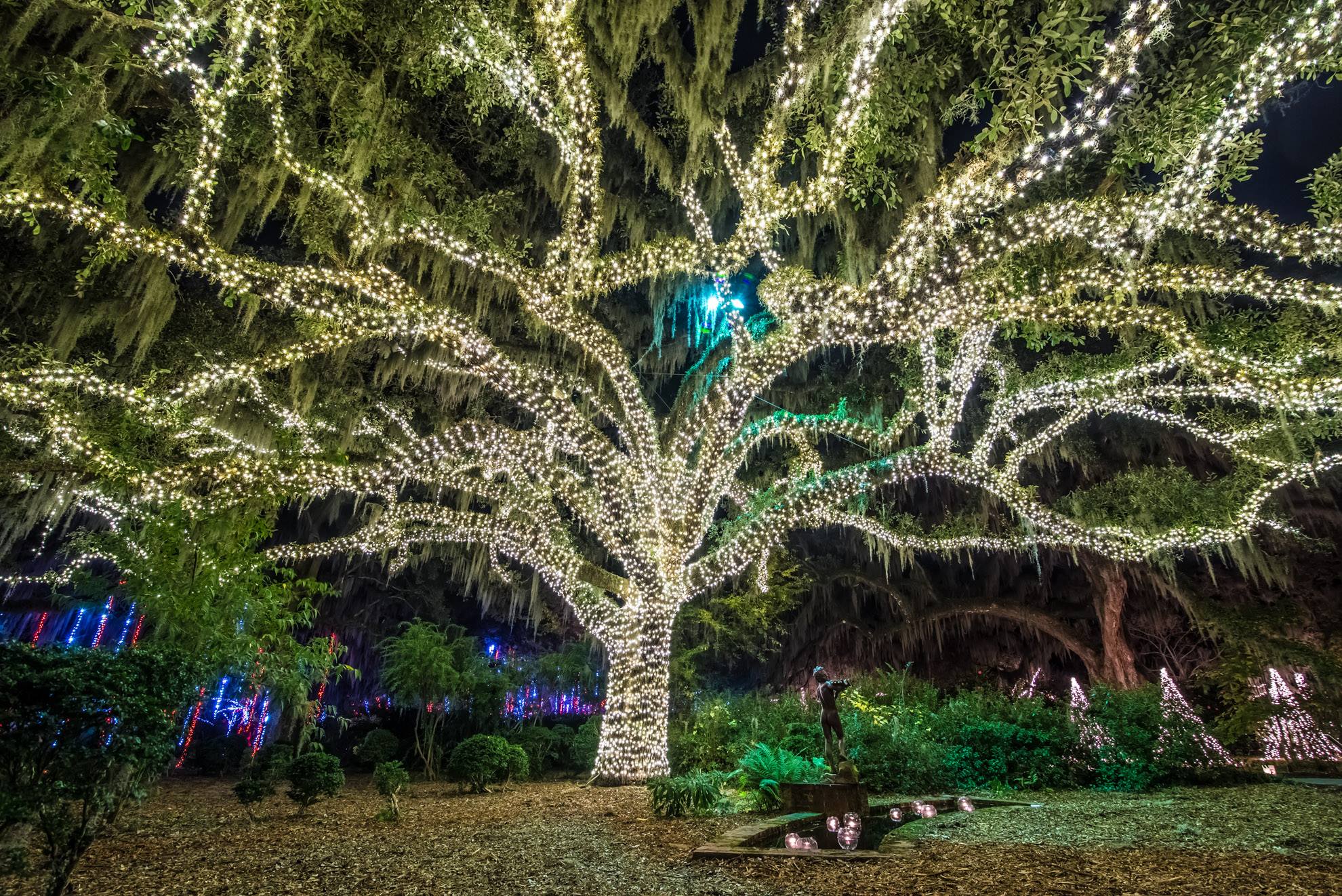 The Holiday Walk At Brookgreen Gardens In South Carolina Is Positively