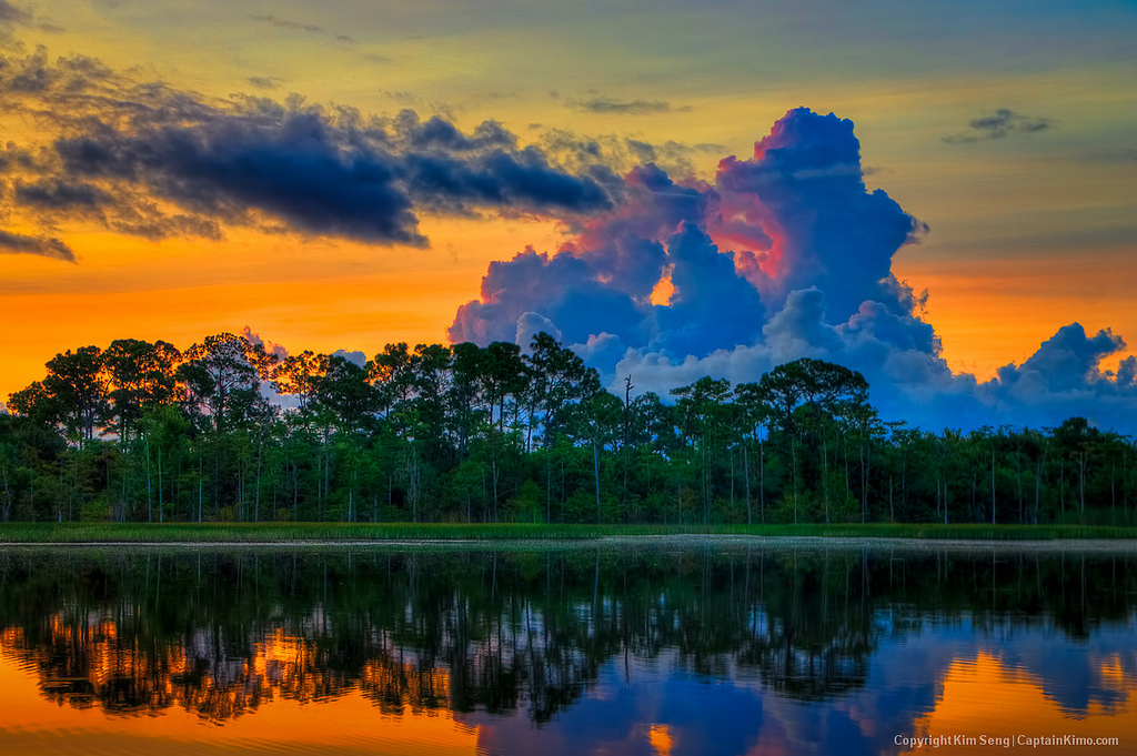 Beautiful Sceneries That Totally Define Florida