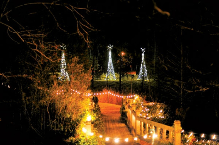 11 Holiday Light Festivals In South Carolina