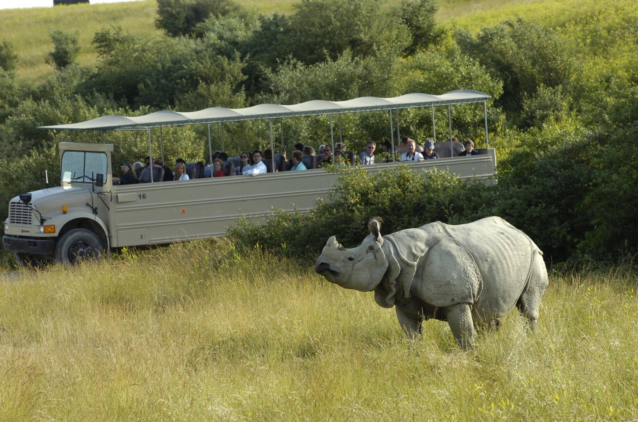 the wilds safari tour