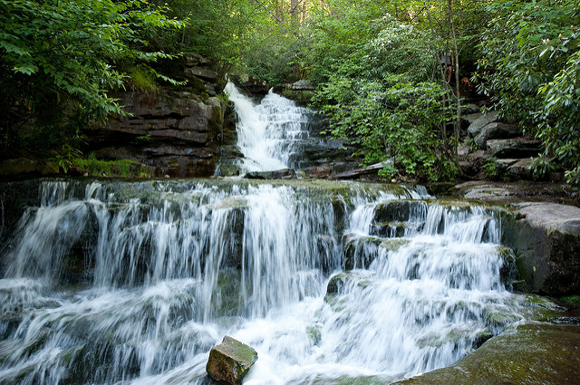 10 Hiking Trails In Pennsylvania That Lead To Great ...