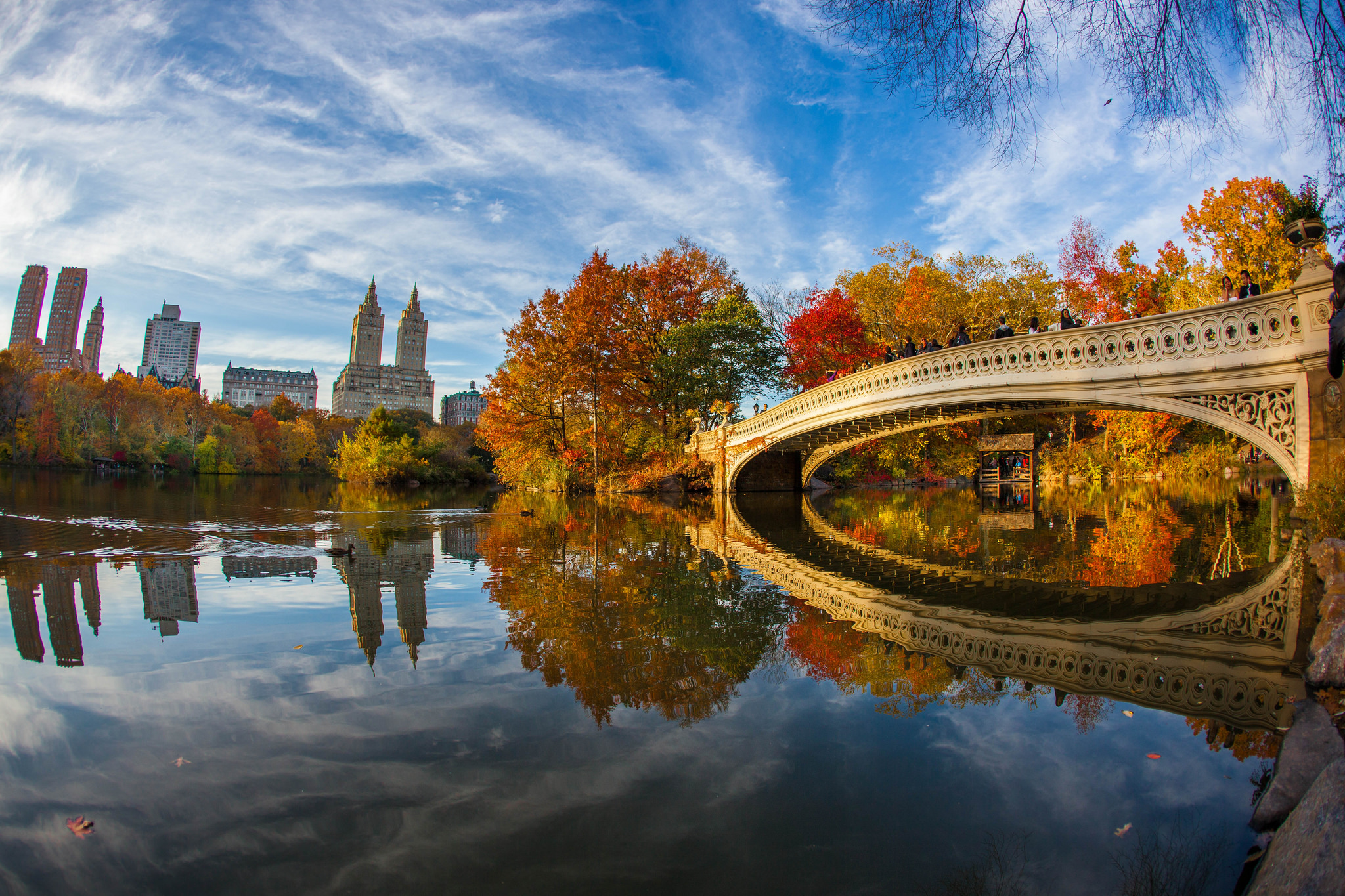 13-fun-and-free-things-you-can-do-in-new-york-state