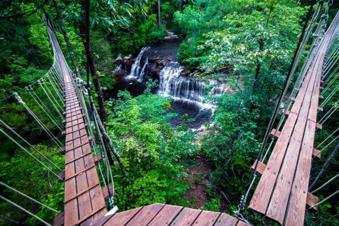 10 Unique Day Trips You Can Take In North Carolina
