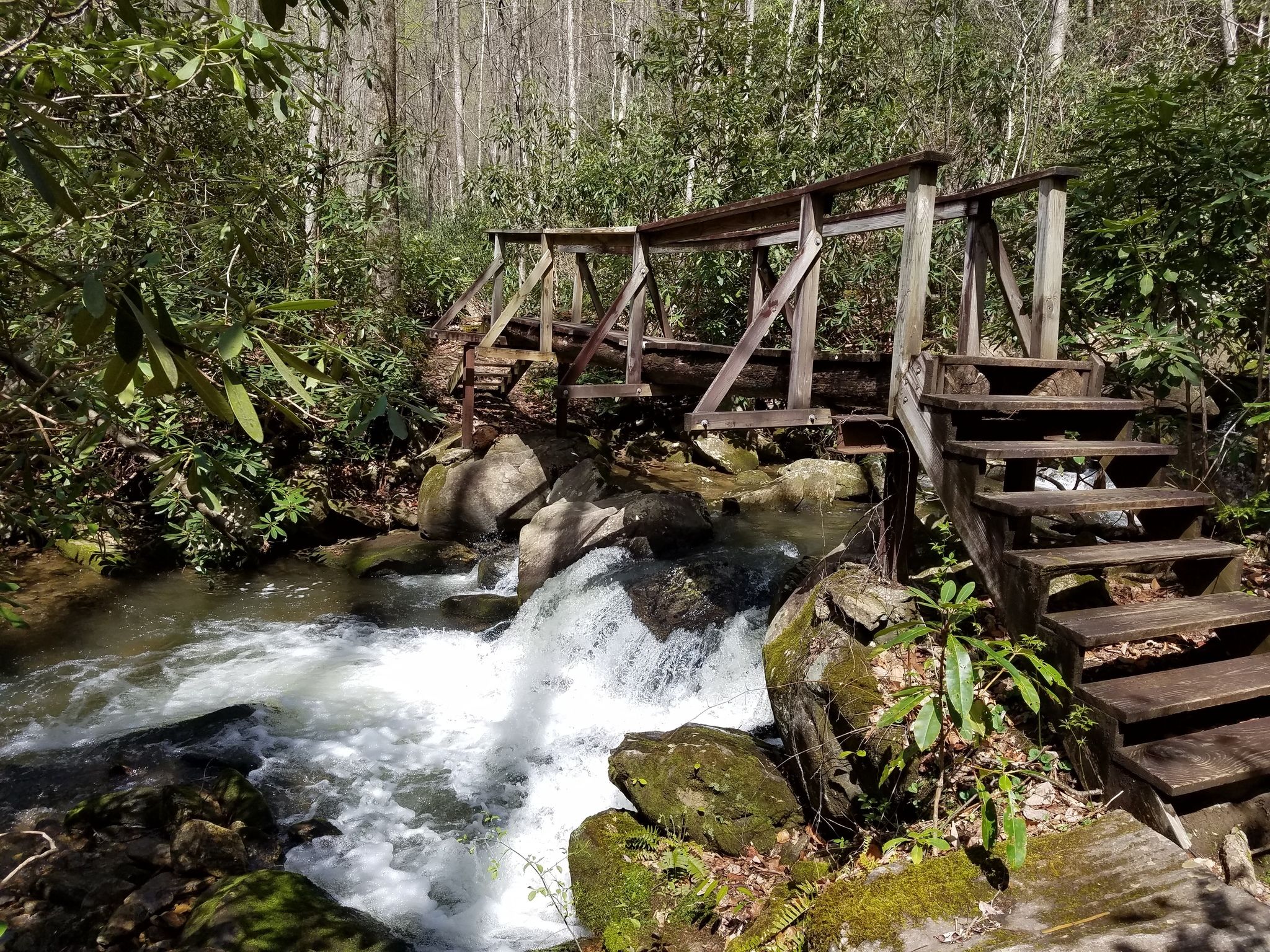 The Hiking Trail Hiding In South Carolina That Will ...